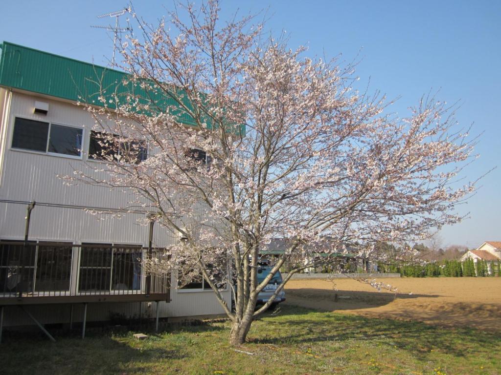 Narita Airport Hostel Shibayama ภายนอก รูปภาพ